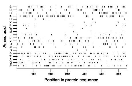 amino acid map