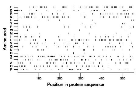 amino acid map