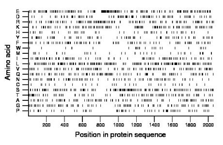 amino acid map