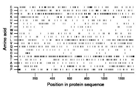 amino acid map