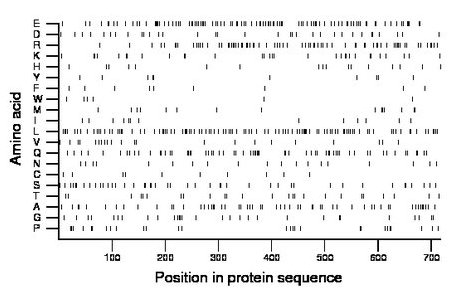 amino acid map