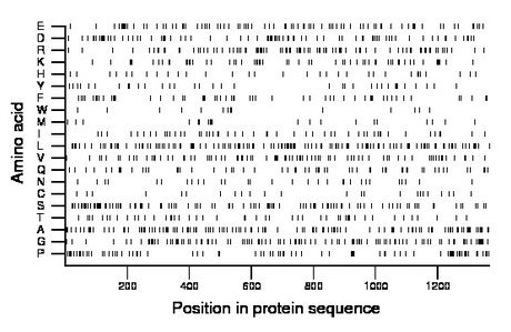 amino acid map