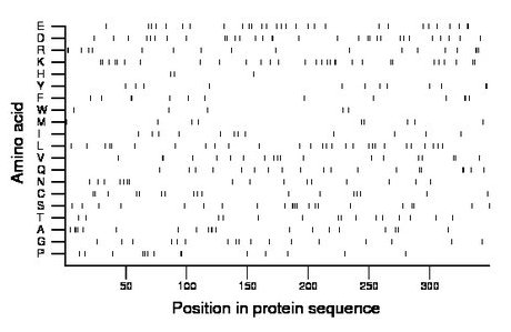 amino acid map