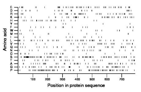 amino acid map