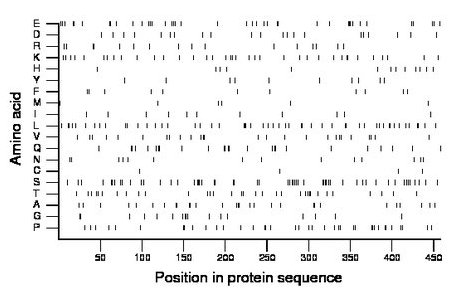 amino acid map