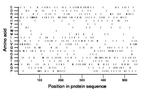 amino acid map