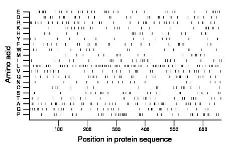 amino acid map