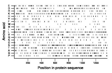 amino acid map