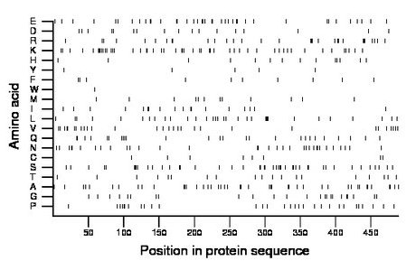 amino acid map