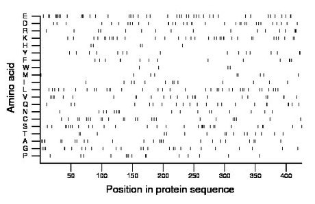 amino acid map