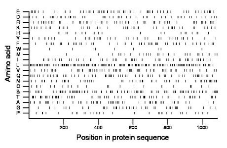 amino acid map