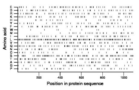 amino acid map