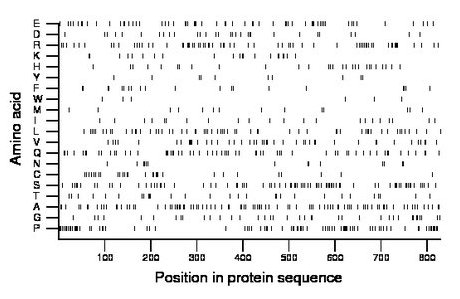 amino acid map