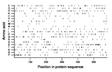 amino acid map