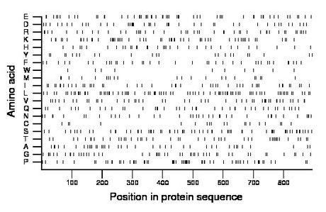 amino acid map