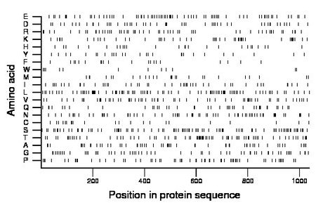 amino acid map