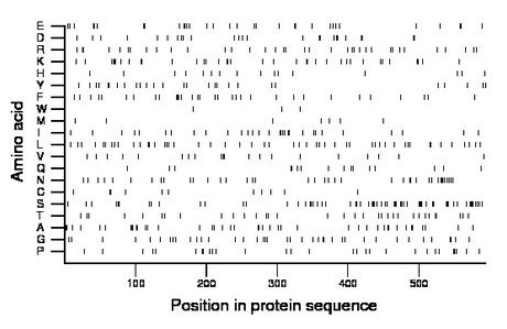 amino acid map