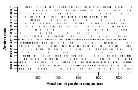 amino acid map