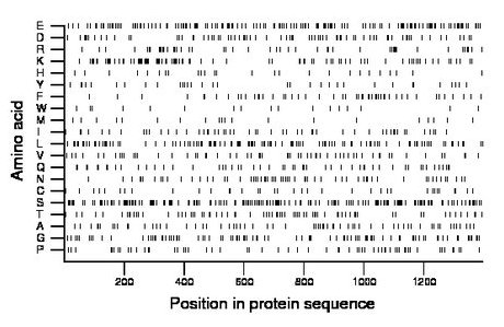 amino acid map