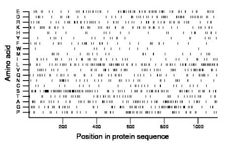 amino acid map