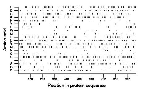 amino acid map