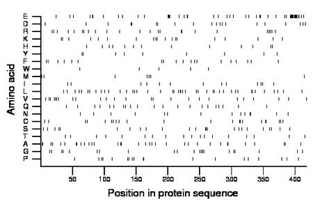 amino acid map