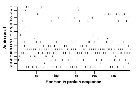 amino acid map