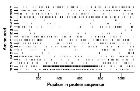 amino acid map