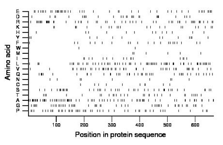 amino acid map