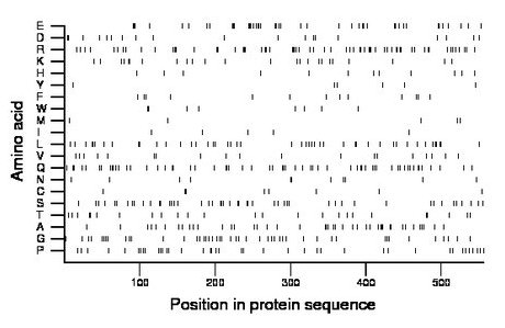 amino acid map