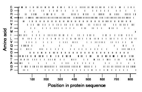 amino acid map