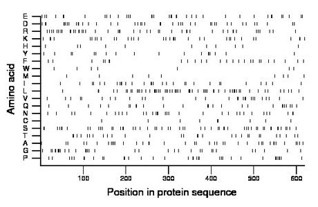 amino acid map