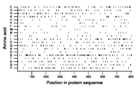 amino acid map