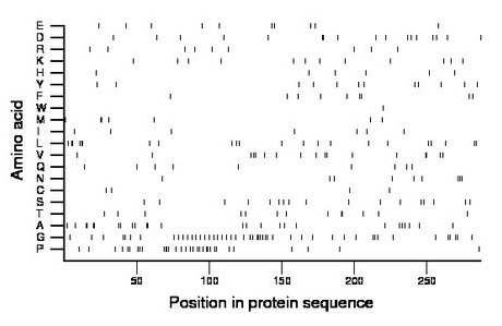 amino acid map