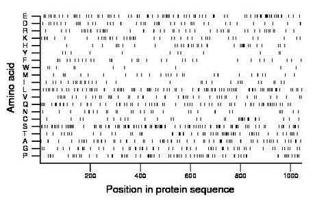 amino acid map