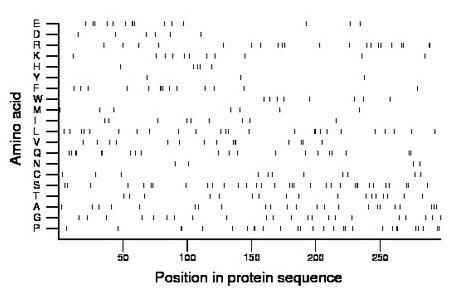 amino acid map