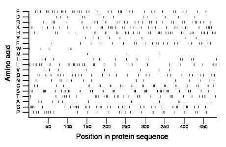 amino acid map