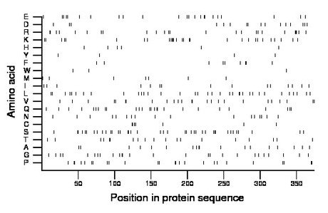 amino acid map