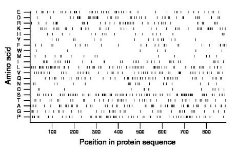 amino acid map