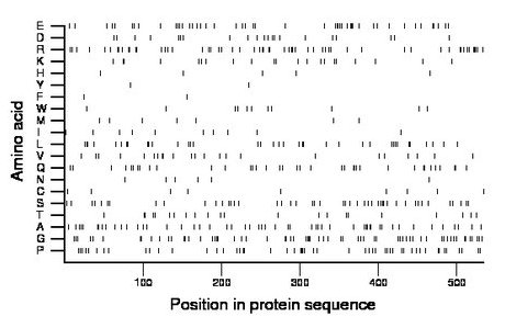 amino acid map