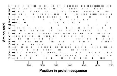 amino acid map