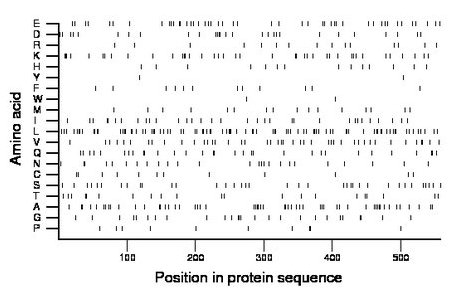 amino acid map