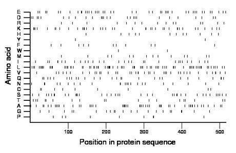 amino acid map