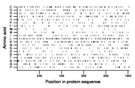 amino acid map