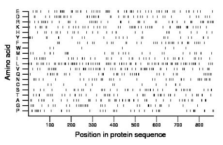 amino acid map