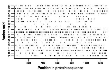 amino acid map