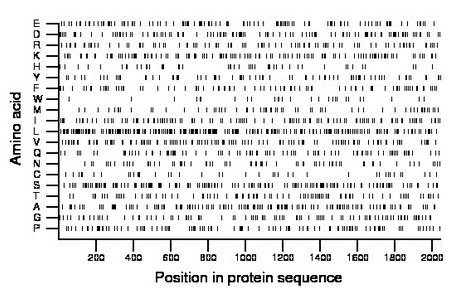 amino acid map