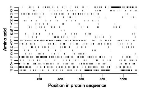 amino acid map