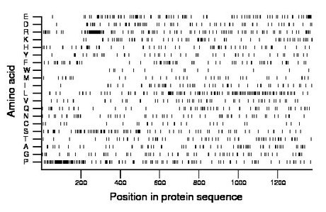 amino acid map