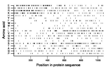 amino acid map